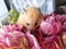 Syrian hamster in the bouquet of flowers