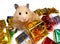 Syrian hamster posing with tons of Christmas gifts