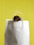 A Syrian hamster is sitting in a paper bag on a yellow background, the concept: shopping, selling, going to the store