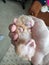 Syrian hamster sleeps in the owner`s hands