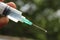 Syringe with medicine drops background photo capture