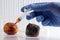 A syringe with an orange liquid stuck in a spoiled tangerine. Hand in blue medical glove. The concept of bioengineering,
