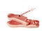 Syringe in a pork meat piece-clipping path