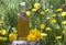 Syrup of their dandelions in glass bottle  on a background of dandelions
