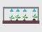 System for automatic watering of plants