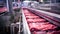 system conveyor food processing