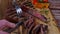 T- bone steak cut into pieces with a knife on a cutting board. Close up