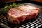 t-bone steak showing cross-hatched grill marks under natural light