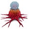 T Cell Attacking Cancer Tumor