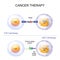 T-cell therapy with T-cell receptor (TCR) or Chimeric antigen receptor (CAR