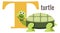 T letter card. Cartoon alphabet with turtle animal