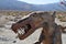 T-Rex Dinosaur Metal Sculpture at Anza Borrego Desert California