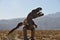 T-Rex Dinosaur Metal Sculpture at Anza Borrego Desert California