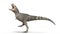 T-Rex Dinosaur, Tyrannosaurus Rex reptile, prehistoric Jurassic animal stomping on white background, 3D rendering