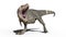 T-Rex Dinosaur, Tyrannosaurus Rex reptile walking, prehistoric Jurassic animal isolated on white background, 3D rendering