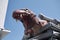 T-rex inflatables toy