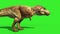 T Rex Tyrannosaur Feathered Roar Close up Loop Jurassic World Dinosaurs Green Screen