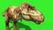 T Rex Tyrannosaur Feathered Roar Face Loop Jurassic World Dinosaurs Green Screen