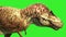 T Rex Tyrannosaur Feathered Run Close up Loop Jurassic World Dinosaurs Green Screen