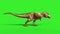 T Rex Tyrannosaur Feathered Run Side Loop Jurassic World Dinosaurs Green Screen