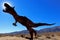 T-rex, Tyrannosaurus, sculptures, Anza Borrego Desert State park