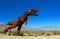 T-rex, Tyrannosaurus, sculptures, Anza Borrego Desert State park