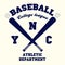 t-shirt graphic design, baseball typography emblem, sports logo. Vector