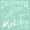 T-shirt Printing design, typography graphics Summer vector illustration Badge Applique Label California Malibu beach surf riders