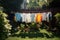 t-shirts and jeans hanging in a backyard