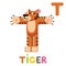 T is for Tiger. Letter T. Tiger, cute illustration. Animal alphabet