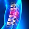 T8 Disc - Thoracic Spine Anatomy