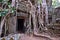 Ta Phrom temple ruins and rubble roots