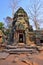 Ta Phrom Temple, Siem Reap