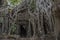 Ta prohm