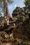 Ta Prohm, Angkor Wat, Cambodia, trees engulfing the temple structures with roots