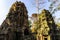 Ta Prohm in Cambodia