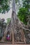 Ta Prohm, part of Khmer temple complex, Asia. Siem Reap, Cambodia. Ancient Khmer architecture in jungle.