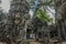 Ta Prohm, part of Khmer temple complex, Asia. Siem Reap, Cambodia. Ancient Khmer architecture in jungle.
