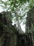 Ta Prohm (Rajavihara), a temple at Angkor, Province, Cambodia.