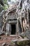 Ta Prohm Temple