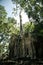 Ta Prohm temple