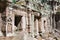 Ta Prohm Temple in Angkor. a famous Historical site(UNESCO World Heritage) in Angkor, Siem Reap, Cambodia.