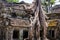 Ta Prohm temple at Angkor, Siem Reap Province, Cambodia