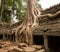 Ta Prohm Temple in Angkor Thom Cambodia