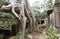 Ta Prohm temple in Siem Reap Angkor temples