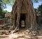 Ta Som Temple, Angkor, Cambodia