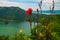 Taal Volcano and flowers in Tagaytay, Philippines