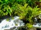 Tabacon Hot Springs River at Arenal Volcano