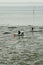 Tabbing piers on mudflat used for fishing