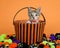 Tabby Calico Kitten Peeking out of Halloween Basket